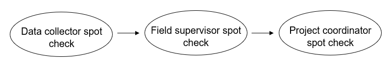 A series of spot checks that occur with paper data
